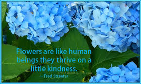 kindness flowers