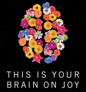 this is your brain on joy