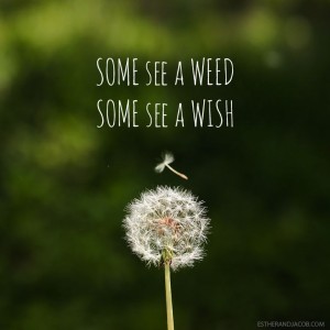 some see a weed