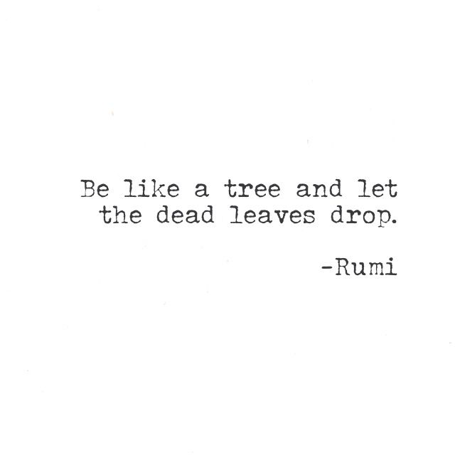 let the dead leaves drop